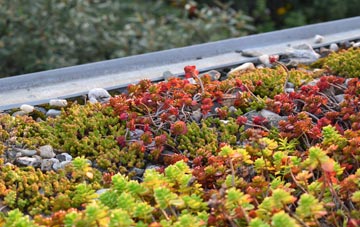 the cost of Scapegoat Hill green roof installation